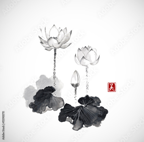 Lotus flowers hand drawn with ink on white background. Traditional Japanese ink painting sumi-e. Contains hieroglyph - beauty.