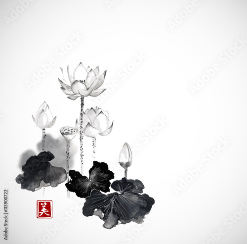 Lotus flowers hand drawn with ink on white background. Traditional Japanese ink painting sumi-e. Contains hieroglyph - beauty.
