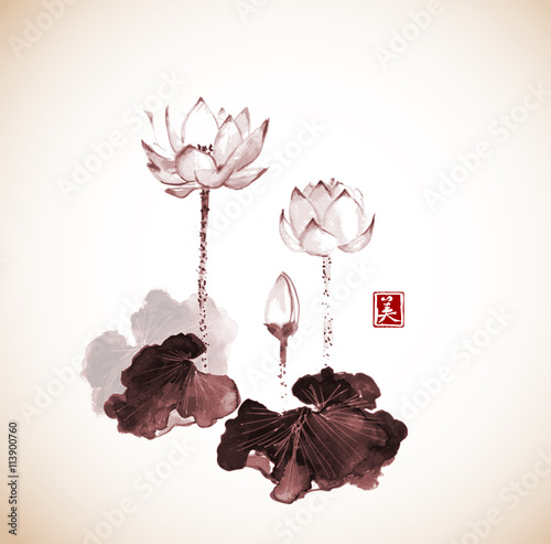 Lotus flowers hand drawn with ink on vintage background. Traditional Japanese ink painting sumi-e. Contains hieroglyph - beauty.