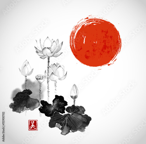 Pink lotus flowers and red sun hand drawn with ink on white background. Contains hieroglyph - beauty. Traditional Japanese ink painting sumi-e