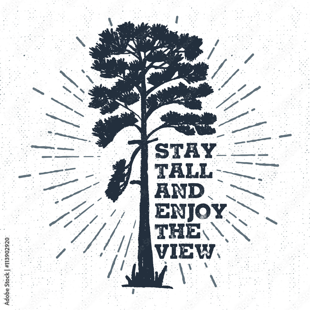 Hand drawn label with textured pine vector illustration and 