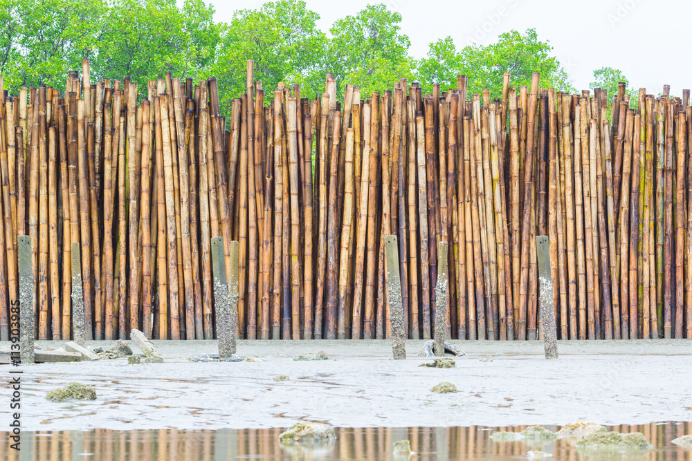 Fototapeta premium man made bamboo wall