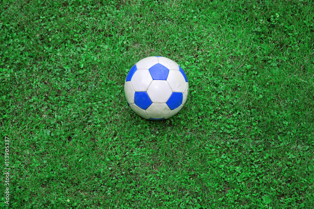 Blue white colored soccer ball on green grass.