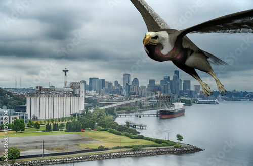 3d rendered illustration of an eagle flying over the Seattle Washington waterfront