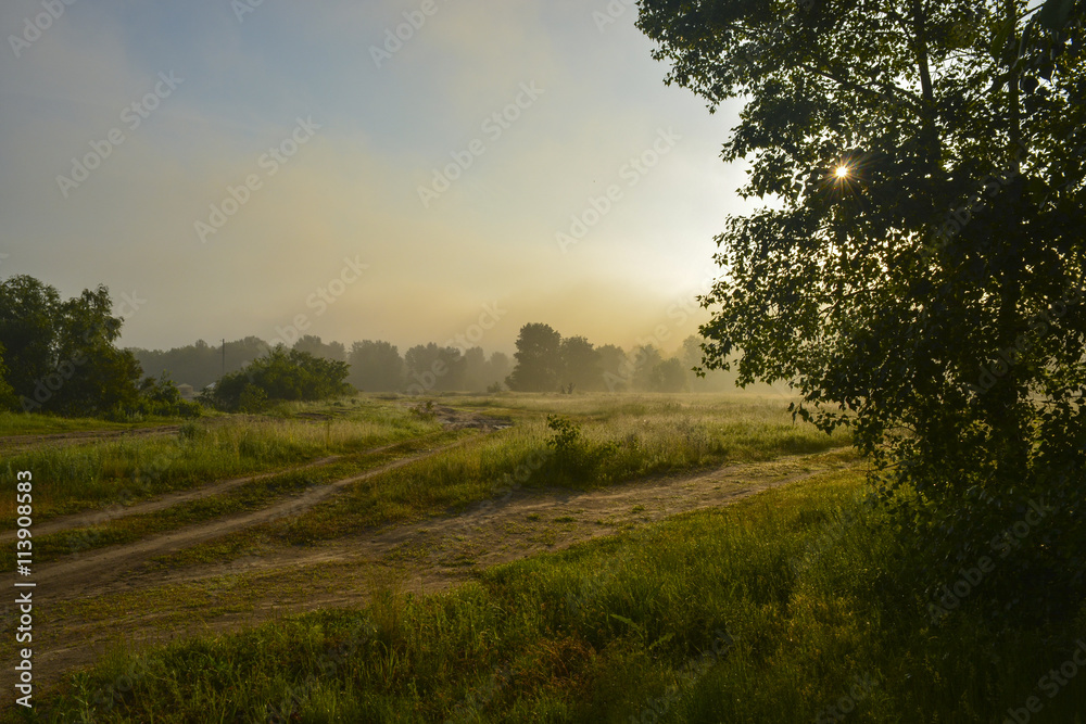 Obraz premium Туманный рассвет в лесу