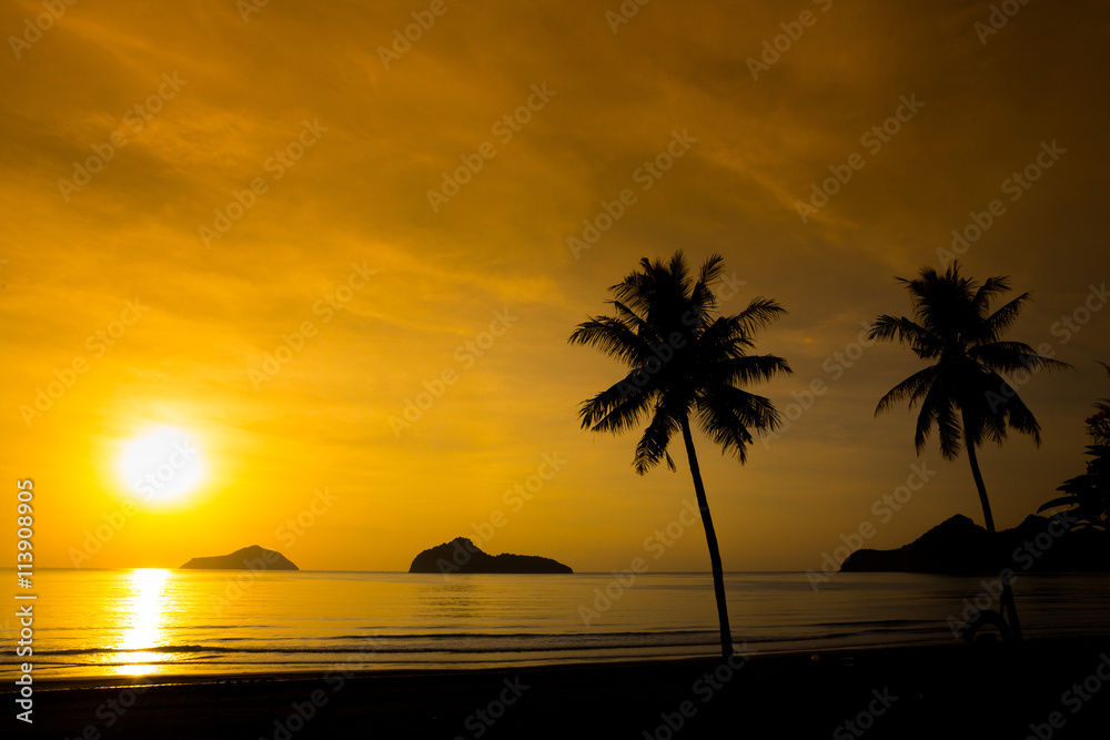Two palm trees silhouette on sunset tropical beach
