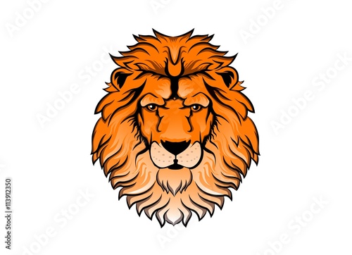 Lion head