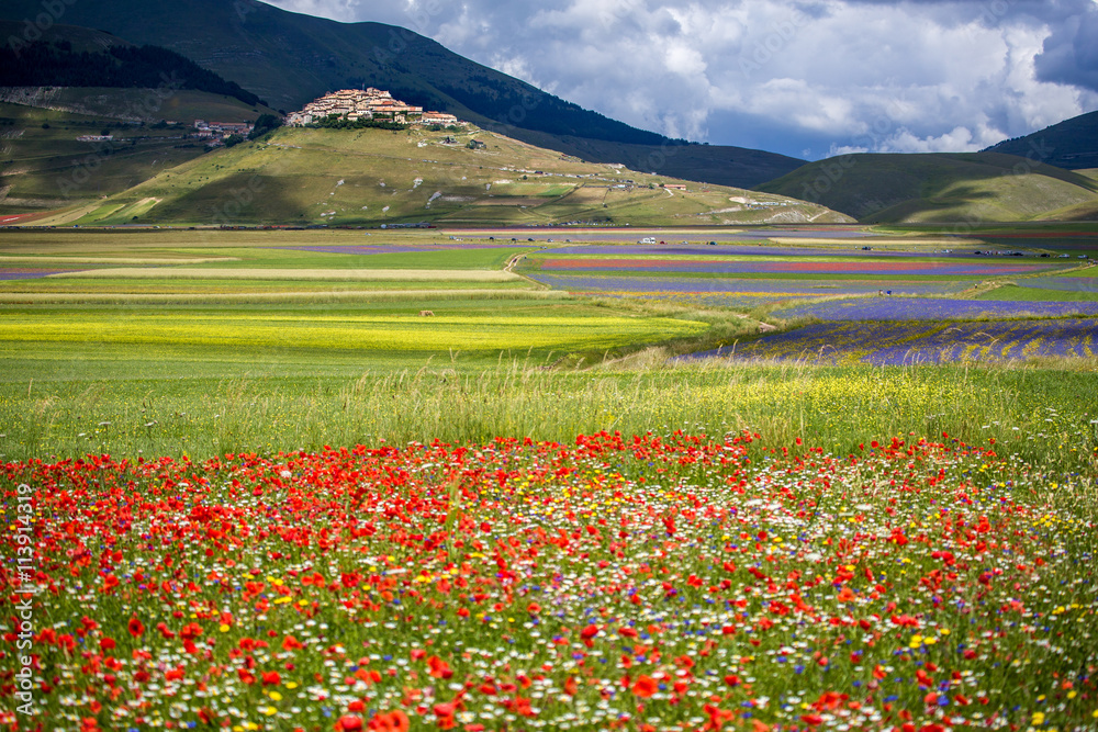 Fototapeta premium Castelluccio di Norcia, Umbria, Italy. The Village of Castelluccio and Pian Grande during the season of 