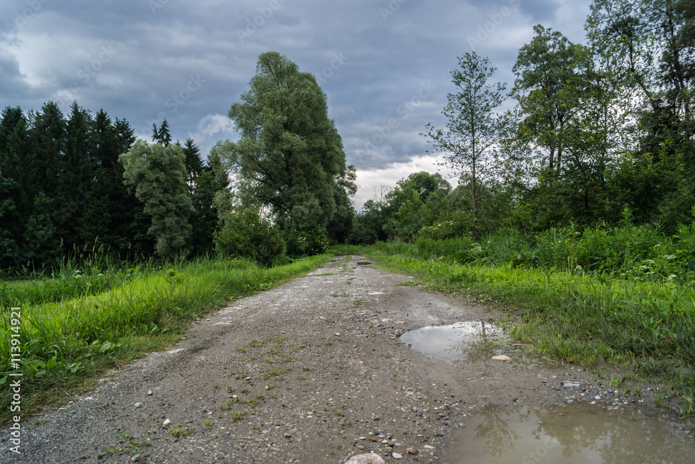 Fototapeta premium Feldweg nach dem Regen
