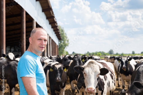 Farmer is working on farm with dairy cows