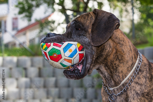 Fussball