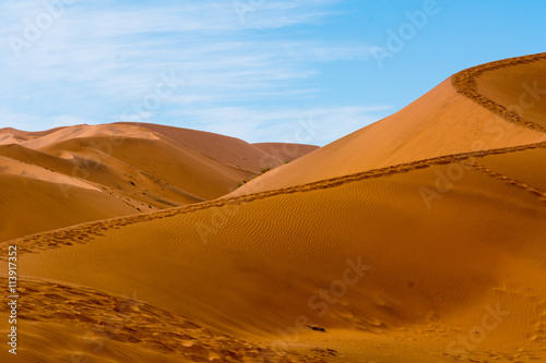 Scenery of the dunes of sossusflei