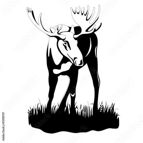 adult moose  black silhouette vector illustration © smaliars