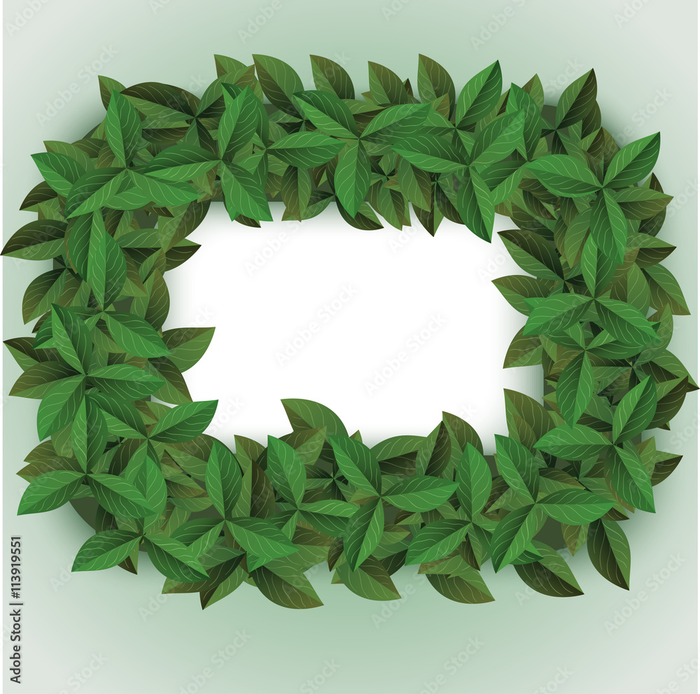Fototapeta premium green big leaves frame