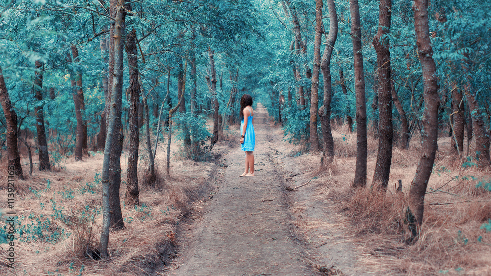 Girl in blue dress stay in magic forest Girl in blue dress stay in magic forest