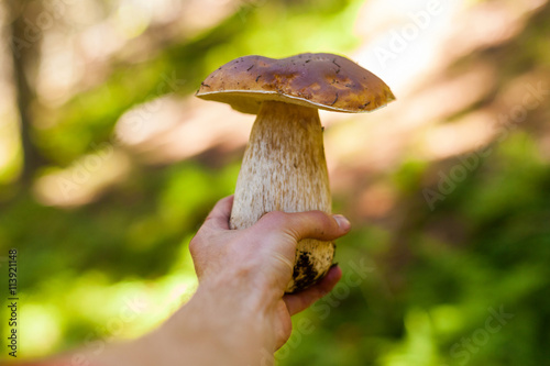 A man holding a large mushroom in hends