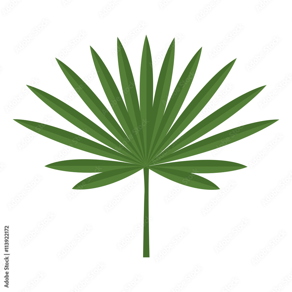 green flower and large tree leaves,vector graphic green flower and large tree leaves,vector graphic
