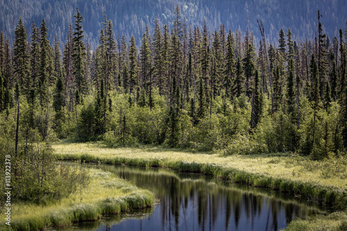 "Canada Green"