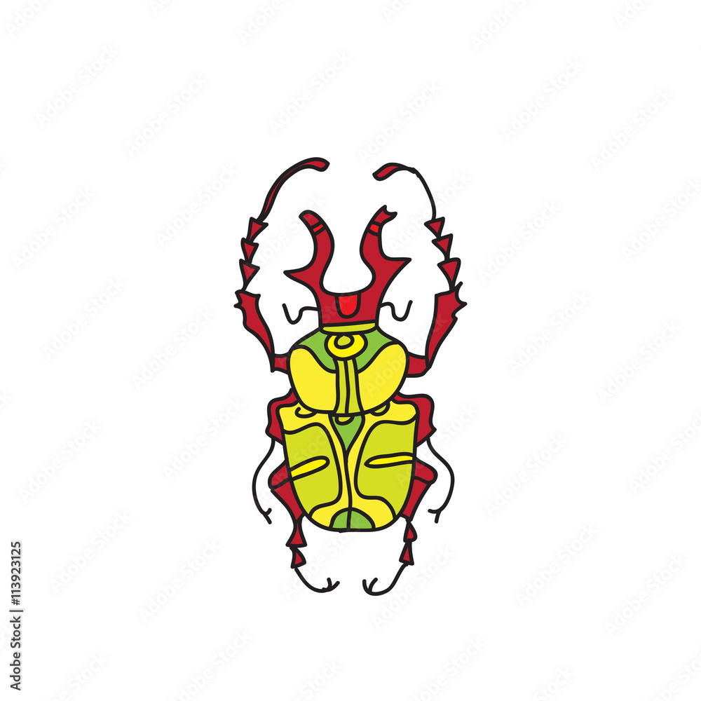 vector color beetle - obrazy, fototapety, plakaty 
