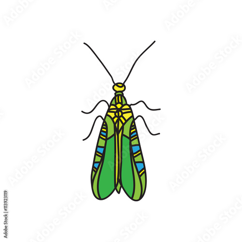 vector color beetle