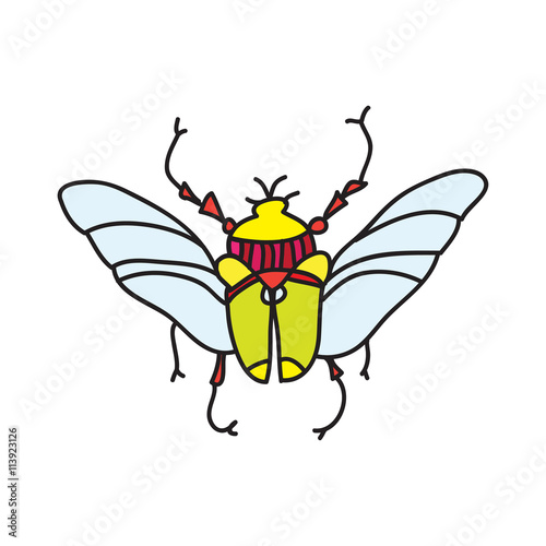 vector color beetle
