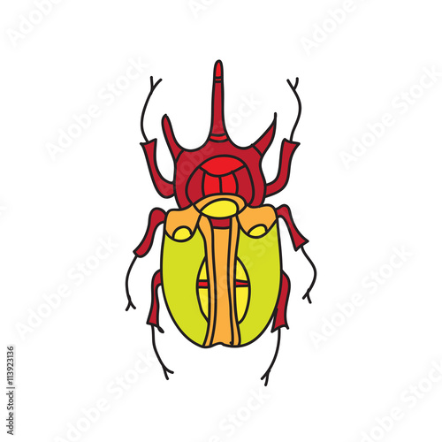 vector color beetle