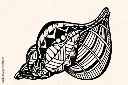 Shell with abstract pattern.