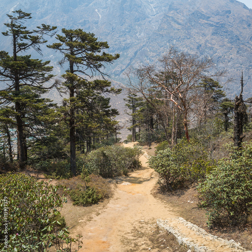 The trail in the Himalayas