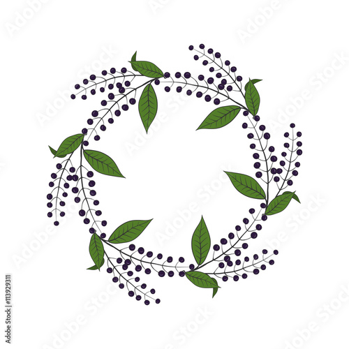 Round wreath  with bird cherry. Round frame.