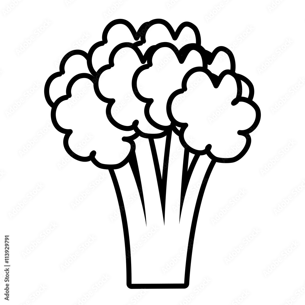 white broccoli tree front view over isolated background,vector illustration white broccoli tree front view over isolated background,vector illustration