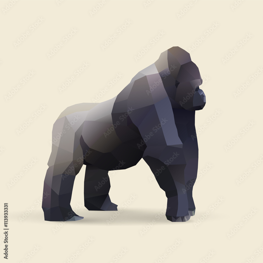 Fototapeta premium gorilla
