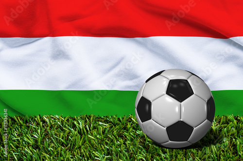 Soccer Ball on Grass with Hungary Flag Background  3D Rendering