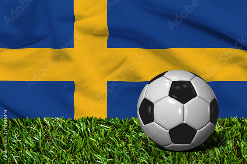 Soccer Ball on Grass with Sweden Flag Background  3D Rendering