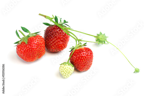 close up on fresh strawberries on white background