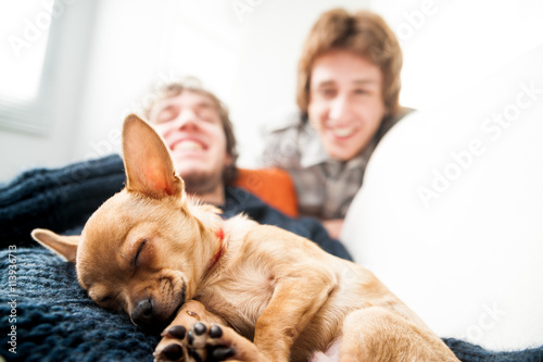 happy couple of men with a little Chihuahua