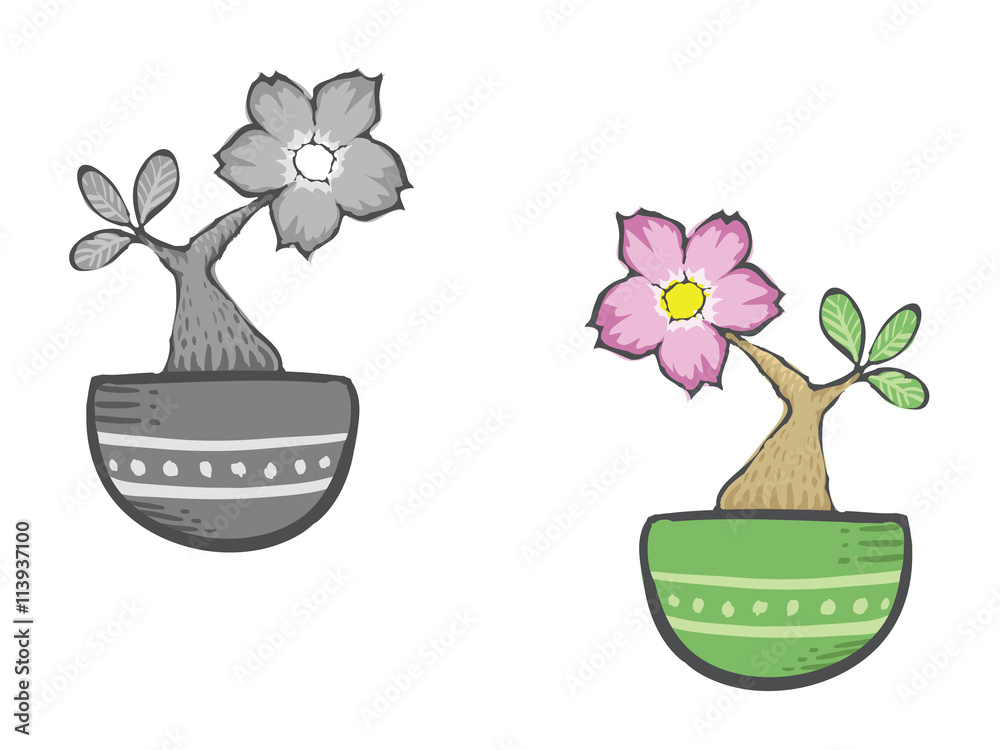 Flowers In Pot Desert Rose Vector