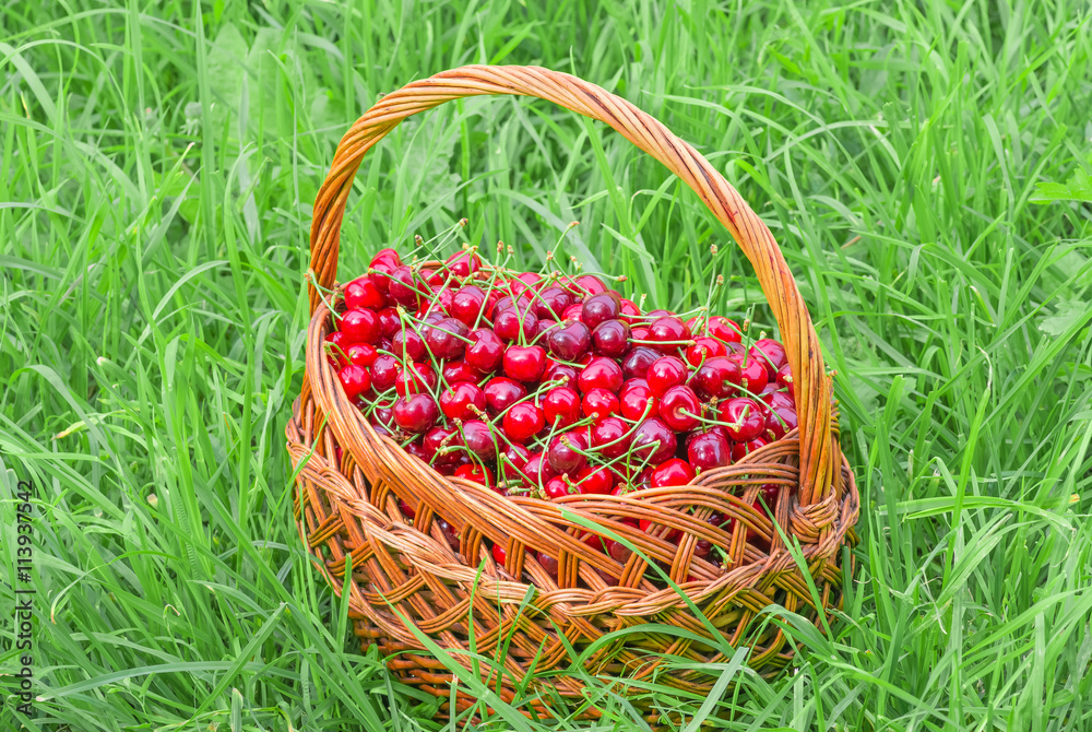 sweet red cherry background sweet red cherry background