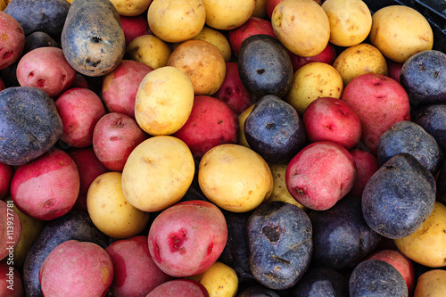 Colorful organic potatoes at a local farmers market