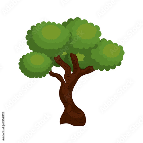 large and leafy tree isolated icon design, vector illustration  graphic 