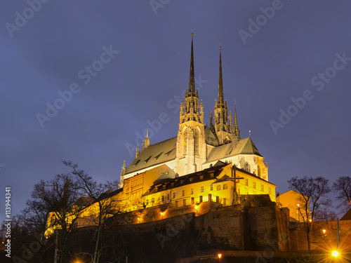 The cathedral of st. Peter and Paul in Brno. © Hana Beckova