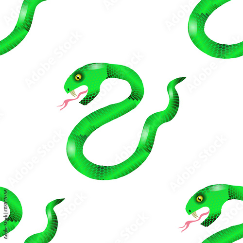 Green Snake Seamless Background. Animal Pattern. Attack Crawling  Danger Predator