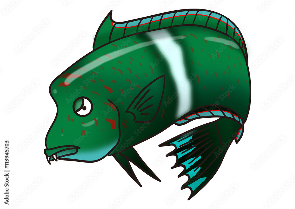 ユニークな魚のイラスト カンムリベラ Stock Illustration Adobe Stock