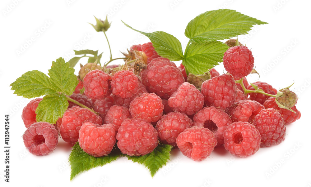Fresh raspberries Fresh raspberries