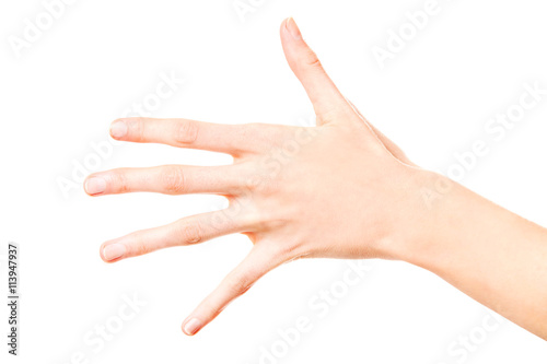Woman hand showing five fingers  isolated on a white background.