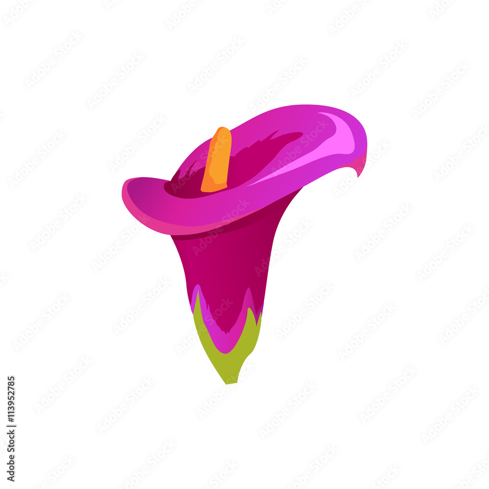 Beauty Flower Design Flat Isolated Beauty Flower Design Flat Isolated