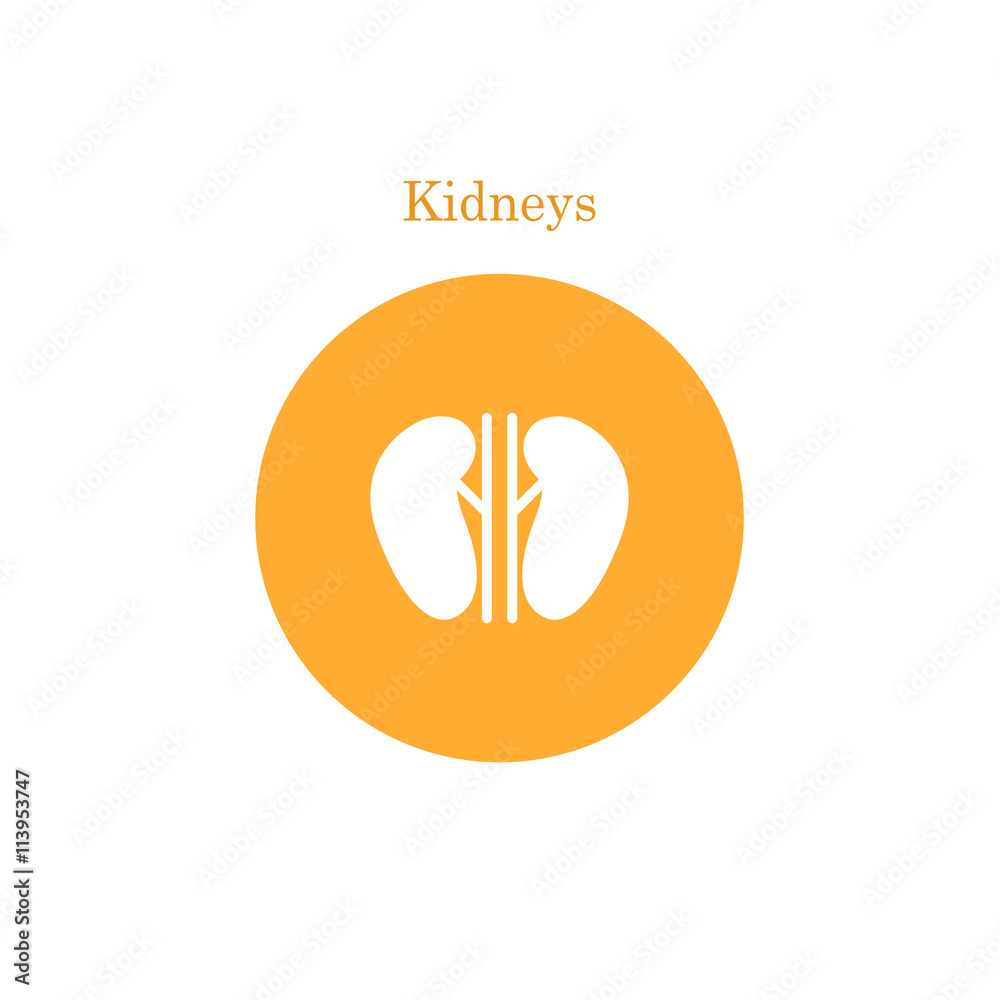 Obraz premium Vector kidney icon