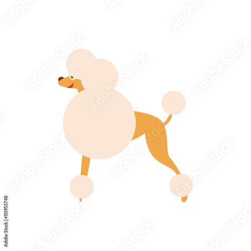 Poodle Dog Breed Primitive Cartoon Illustration