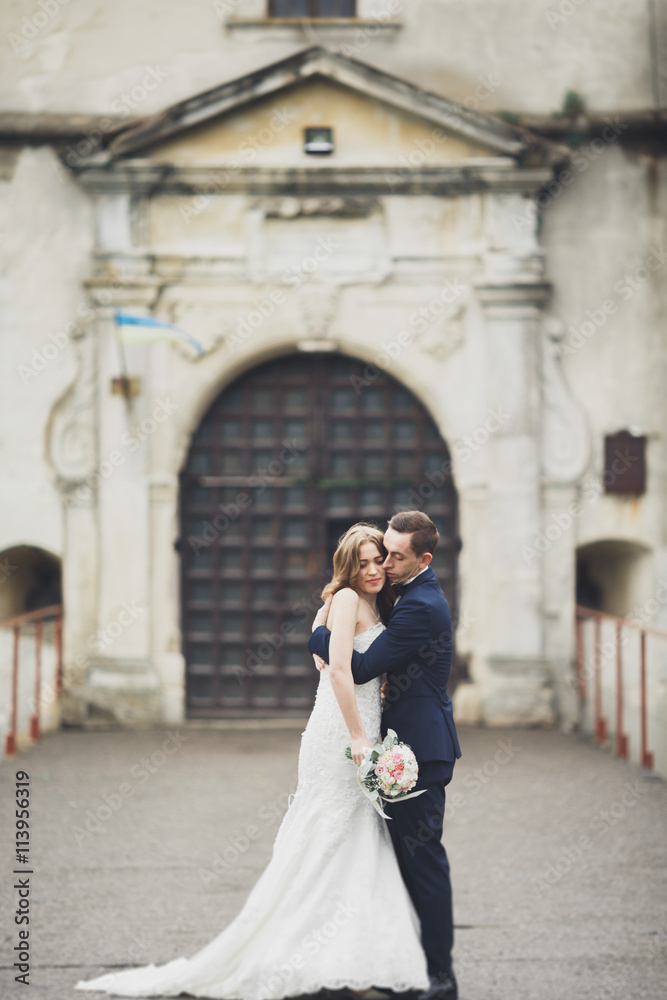 Happy wedding couple hugging and smiling each other on background old castle