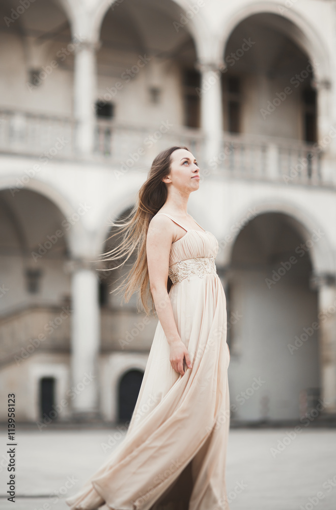 Fototapeta premium Beautiful girl, model with long hair posing in old castle near columns. Krakow Vavel