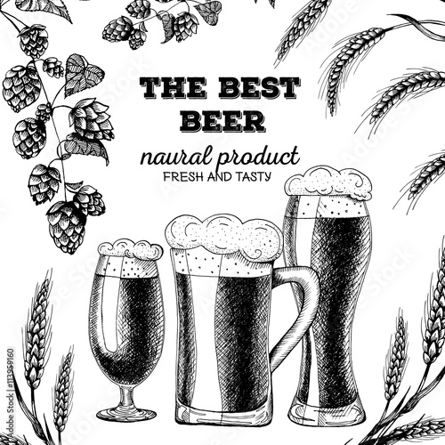 Vector template illustration of beer. Raw material for brewing: branch  hops and ears  barley. Card design.